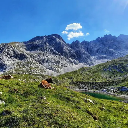 Alpspitze Daire Grainau
