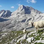 Alpspitze Apartment
