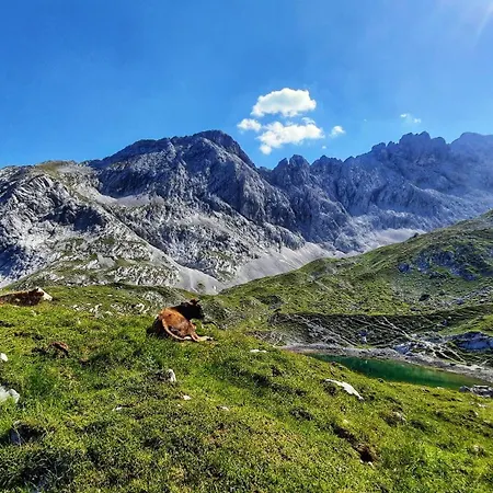 Alpspitze * グライナウ