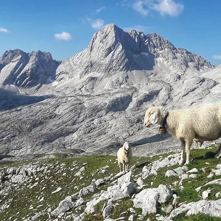Alpspitze Appartement Grainau
